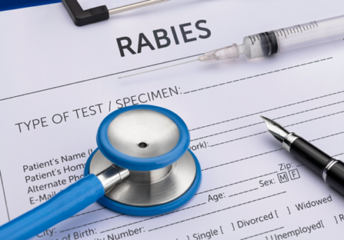 World Rabies Day 2024 - One Health approach for rabies prevention and global vaccination efforts.