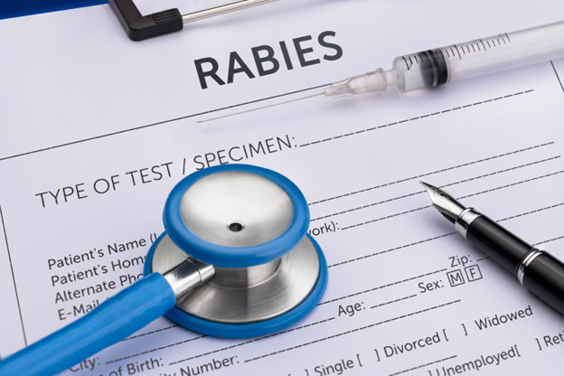 World Rabies Day 2024 - One Health approach for rabies prevention and global vaccination efforts.